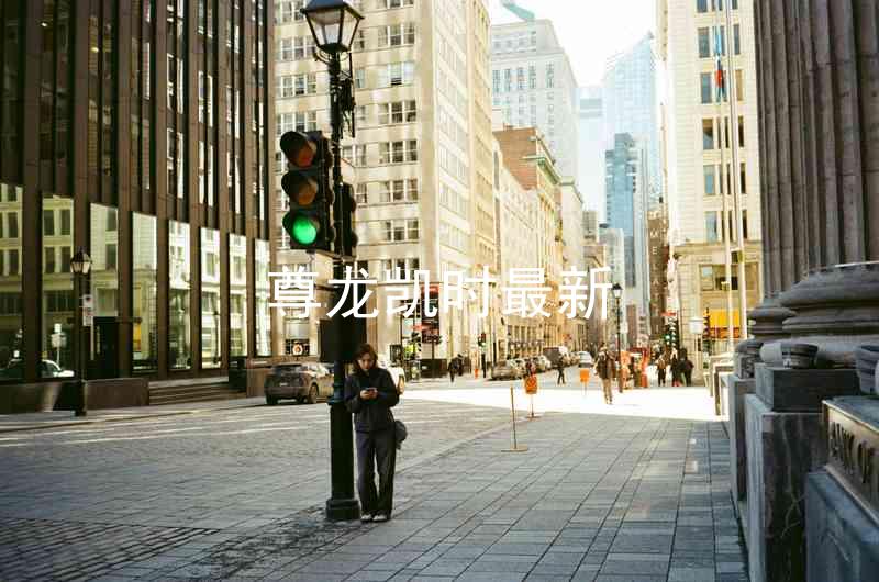 尊龙凯时最新